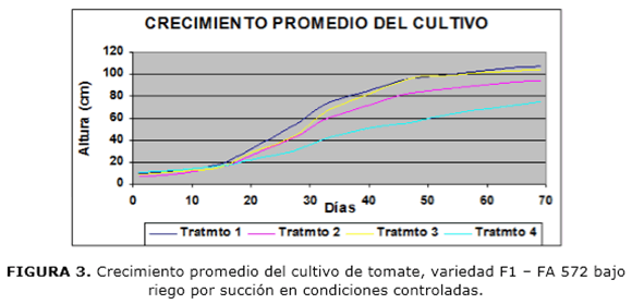 FIGURA 3. Crecimiento promedio del cultivo de tomate, variedad F1 – FA 572 bajo riego por succión en condiciones controladas.