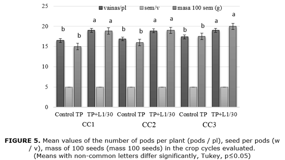 FIGURE 5. Mean values of the number of pods per plant (pods / pl), seed per pods (w / v), mass of 100 seeds (mass 100 seeds) in the crop cycles evaluated.