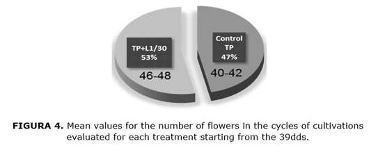 FIGURA 4. Mean values for the number of flowers in the cycles of cultivations evaluated for each treatment starting from the 39dds.