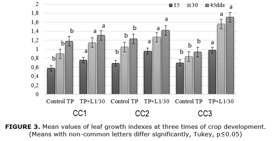 FIGURE 3. Mean values of leaf growth indexes at three times of crop development.