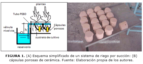 FIGURA 1. (A) Esquema simplificado de un sistema de riego por succi&oacute;n: (B) c&aacute;psulas porosas de cer&aacute;mica. Fuente: Elaboraci&oacute;n propia de los autores.