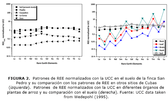 FIGURA 2.  Patrones de REE normalizados con la UCC en el suelo de la finca San Pedro y su comparaci&oacute;n con los patrones de REE en otros sitios de Cubas (izquierda).  Patrones  de REE normalizados con la UCC en diferentes &oacute;rganos de  plantas de arroz y su comparaci&oacute;n con el suelo (derecha). Fuente: UCC data taken from Wedepohl (1995).