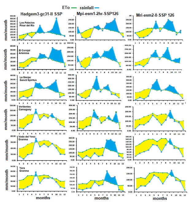 Annual water balance for each model and site studied.
