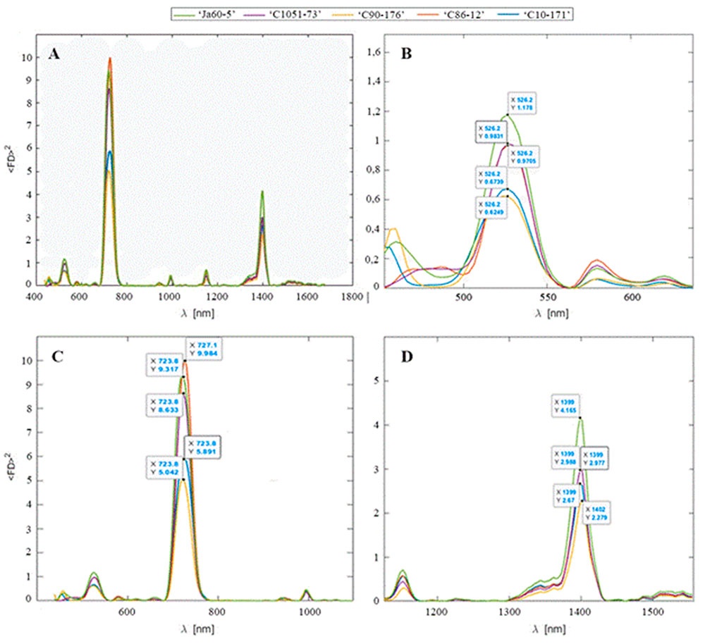Gradiente medio de reflectacia de las hojas de los cultivares en estudio elevado al cuadrado y suavizado. B Picos de gradiente medio de reflectacia de las hojas de los cultivares en estudio a 526,2 nm. C Picos de gradiente medio de reflectacia de las hojas de los cultivares en estudio en el borde rojo. D Picos de gradiente medio de reflectacia de las hojas de los cultivares en estudio entorno a los 1 400 nm.
