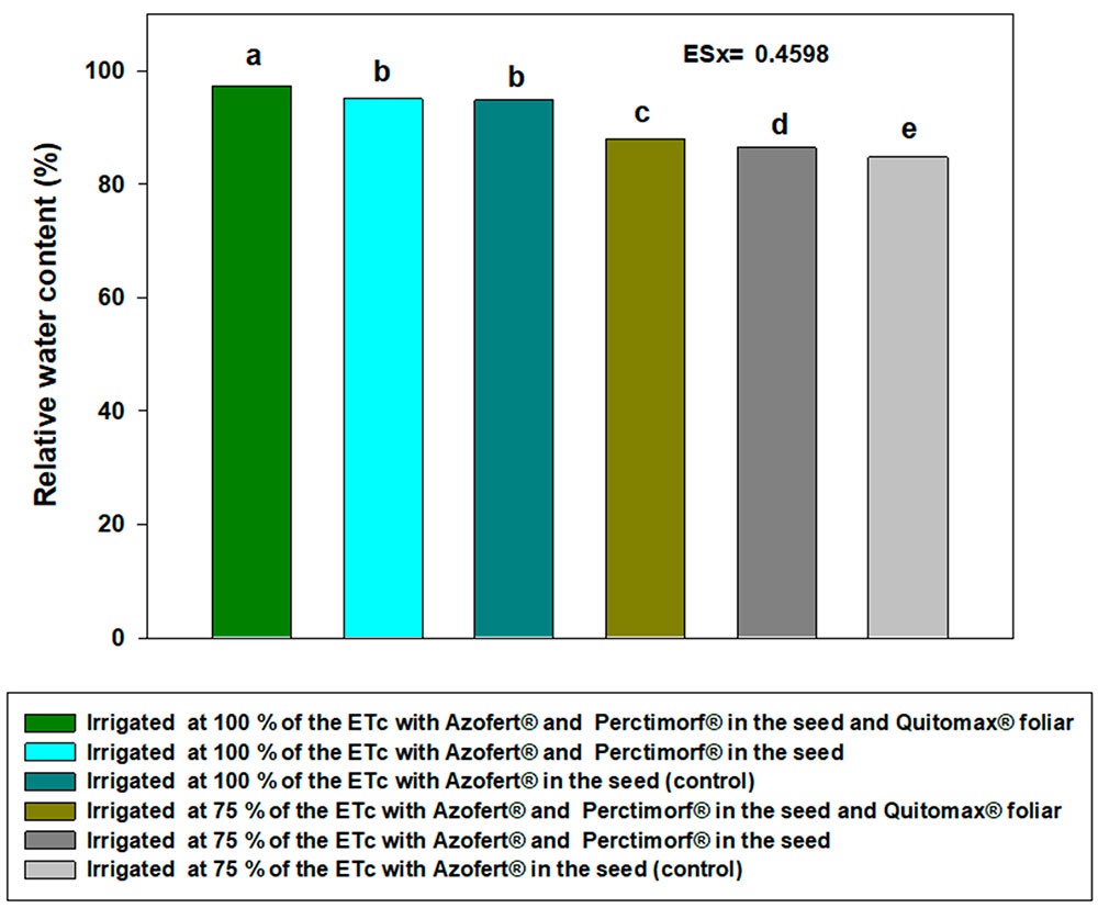 Contenido relativo de agua en plantas de frijol tratadas con bioestimulantes y sometidas a dos regímenes de riego. Letras diferentes significan diferencias significativas entre tratamientos para α ≤ 0.05 según la prueba la prueba de rangos múltiples de Tukey.
