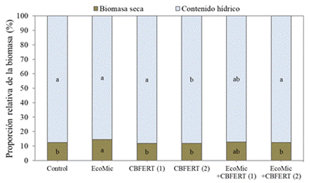 Proporción de biomasa seca y contenido hídrico en las plántulas de tomate.