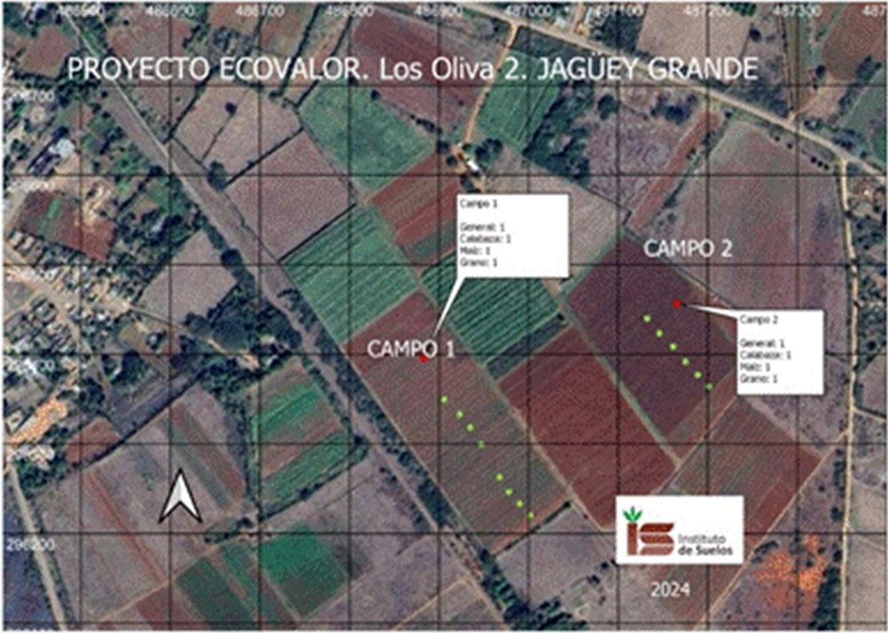 Agroproductividad en Los Oliva 2.
