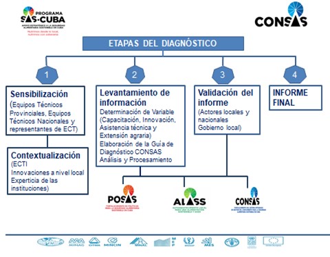 Figura 1. Etapas del diagnóstico