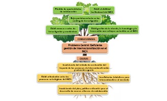 Anexo 5. Árbol de problemas