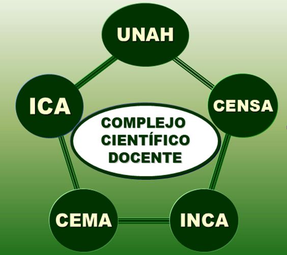 EL GRUPO DE INVESTIGACIÓN DE BIOMATEMÁTICA (UNAH-INCA-CENSA-ICA)